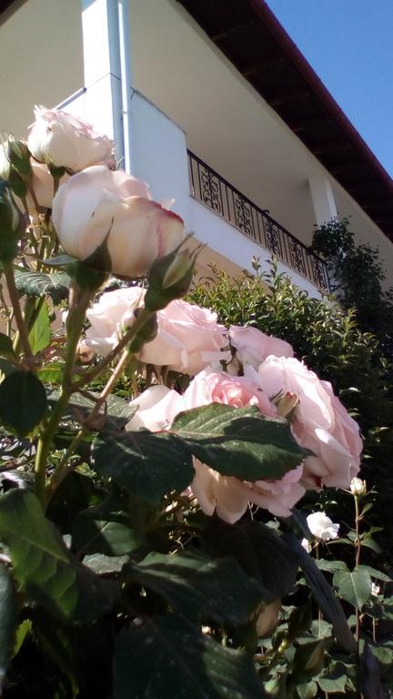 Hotel Archontiko Dimitra Vergina Luaran gambar